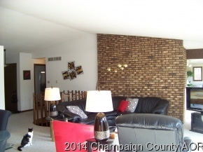 41 Glenn Dr, White Heath, IL 61884 photo 9