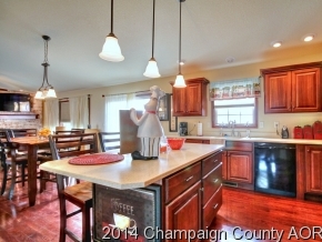 106 Gilroy St, Sidell, IL 61876 photo 7