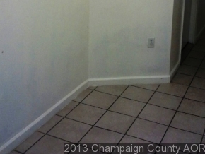2012 W Sangamon, Champaign, IL 61821 photo 7