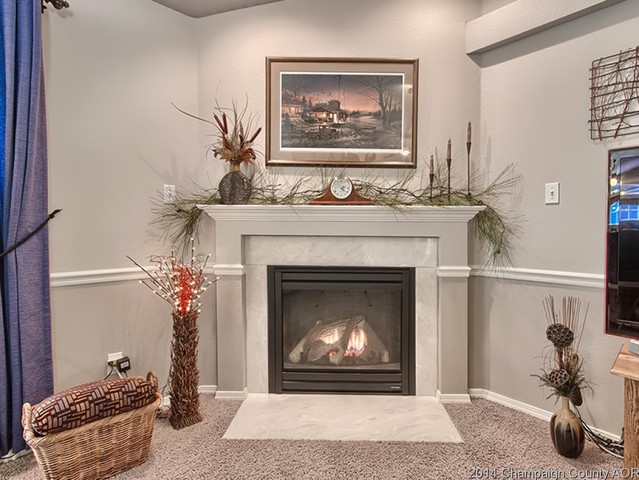 7841 Buttercup Rd, Weldon, IL 61882 photo 5