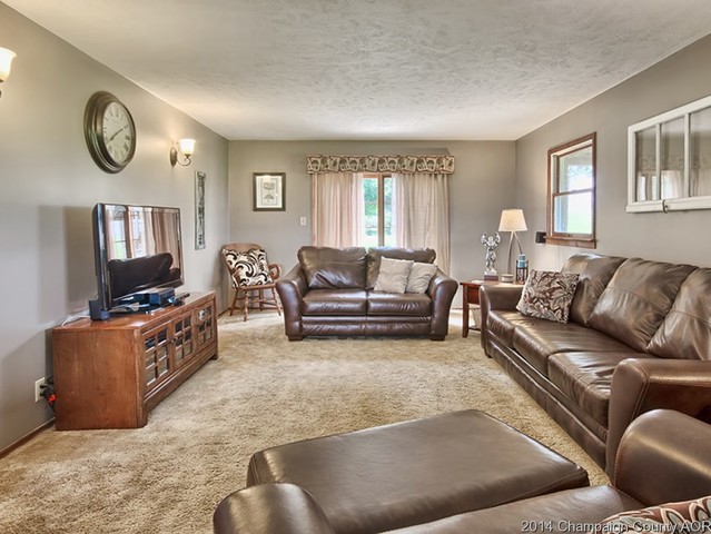 202 E Meade, White Heath, IL 61884 photo 7