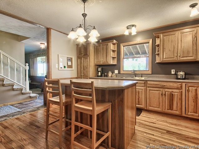 202 E Meade, White Heath, IL 61884 photo 12