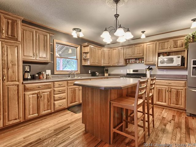 202 E Meade, White Heath, IL 61884 photo 9