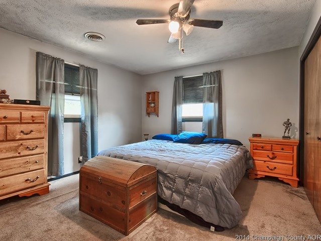 202 E Meade, White Heath, IL 61884 photo 19