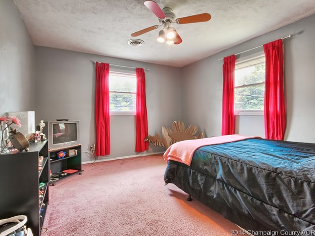 202 E Meade, White Heath, IL 61884 photo 16
