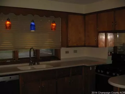 407 Elm, Buckley, IL 60918 photo 3