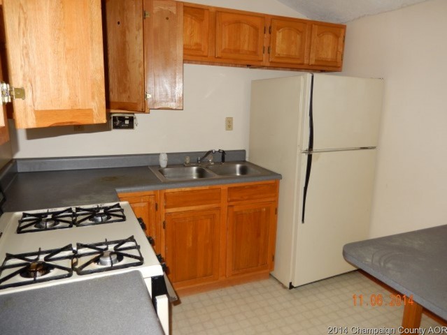 202 N Harrison, Philo, IL 61864 photo 3
