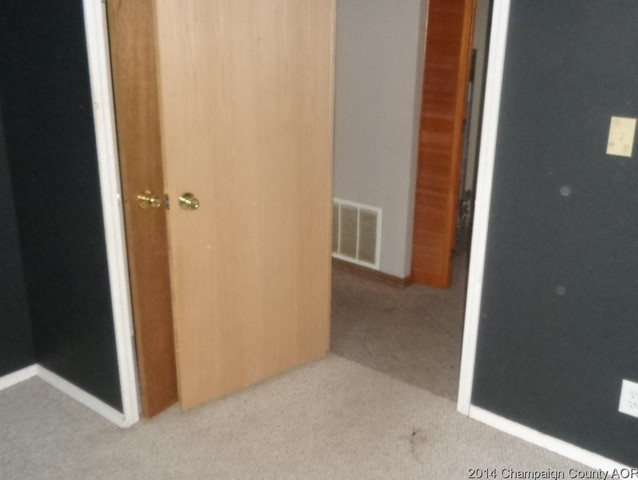 106 N Seminary St, Downs, IL 61736 photo 7