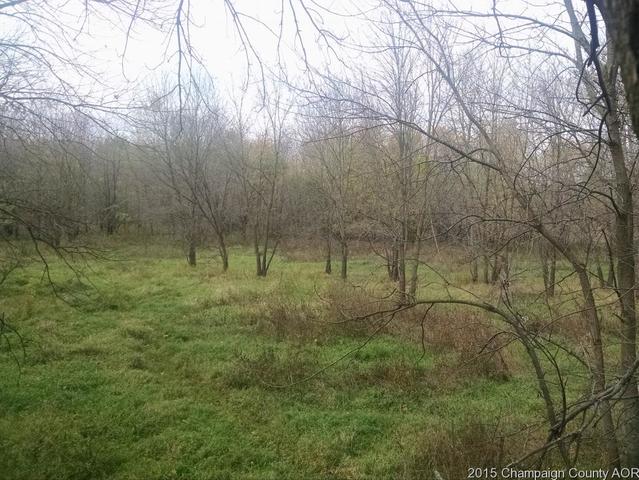 1369 E Cr 2250 N, White Heath, IL 61884 photo 16