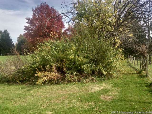 1369 E Cr 2250 N, White Heath, IL 61884 photo 20