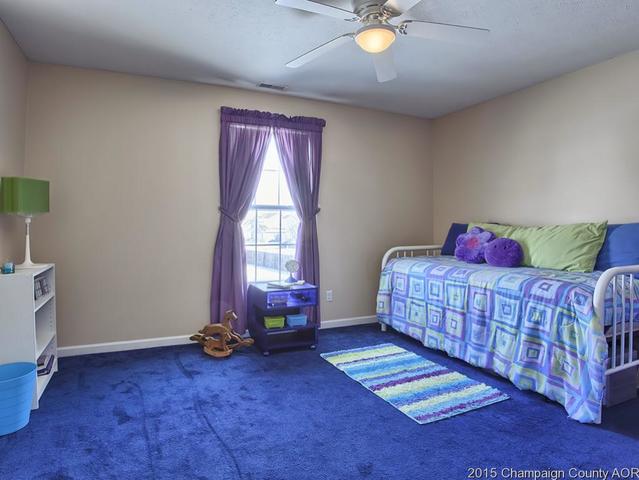 802 Switchgrass Ln, Champaign, IL 61822 photo 17