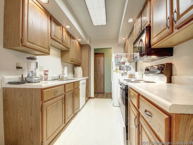 1215 Dickens Dr, Monticello, IL 61856 photo 3