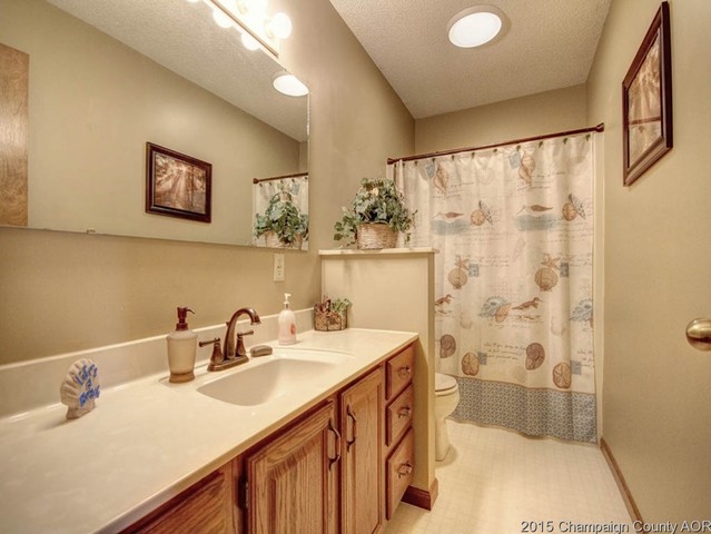 1215 Dickens Dr, Monticello, IL 61856 photo 7