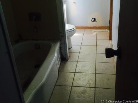 207 Renfrew Ave, Dwight, IL 60420 photo 7