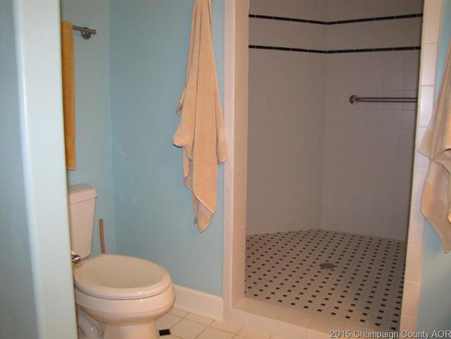 131 E Lincoln St, Arthur, IL 61911 photo 16