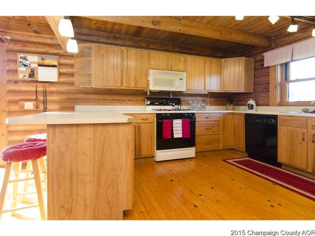1419 Riverbend Ln, White Heath, IL 61884 photo 10
