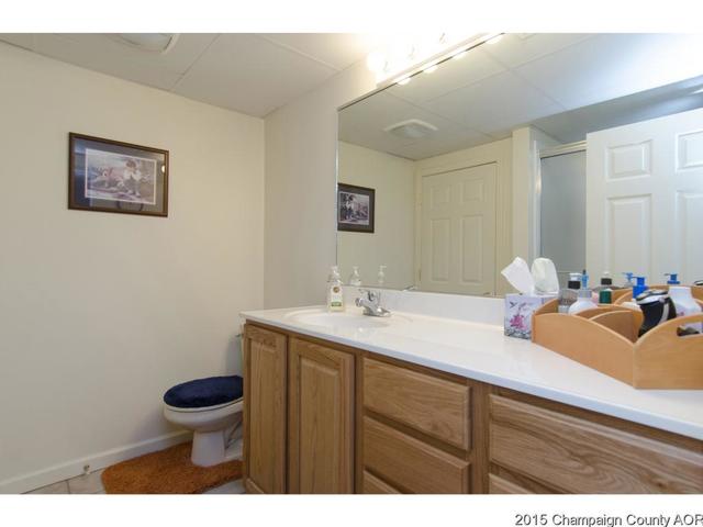 1419 Riverbend Ln, White Heath, IL 61884 photo 20