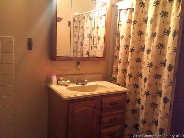 300 E 3rd St, Melvin, IL 60952 photo 5