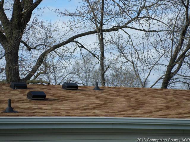 604 E Maple St, Ogden, IL 61859 photo 8