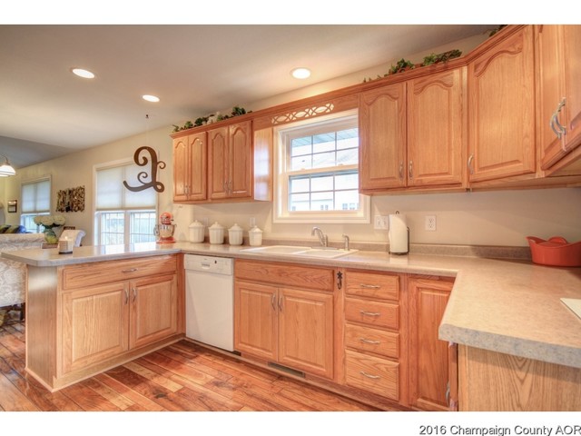 609 Clovis Ct, Sidney, IL 61877 photo 10