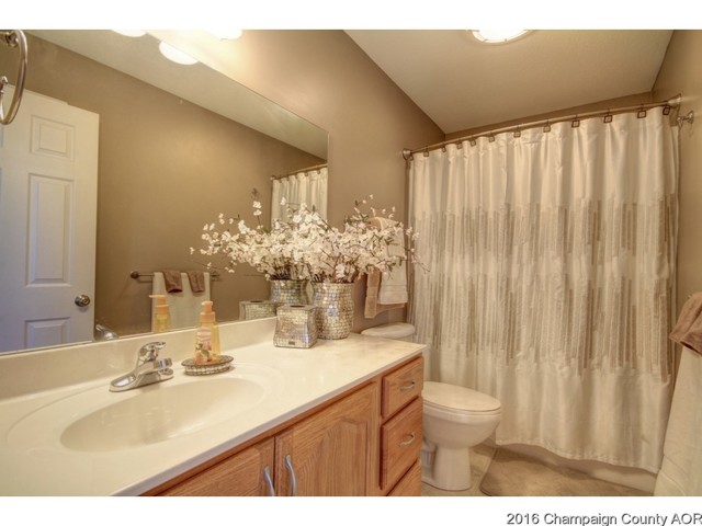 609 Clovis Ct, Sidney, IL 61877 photo 13