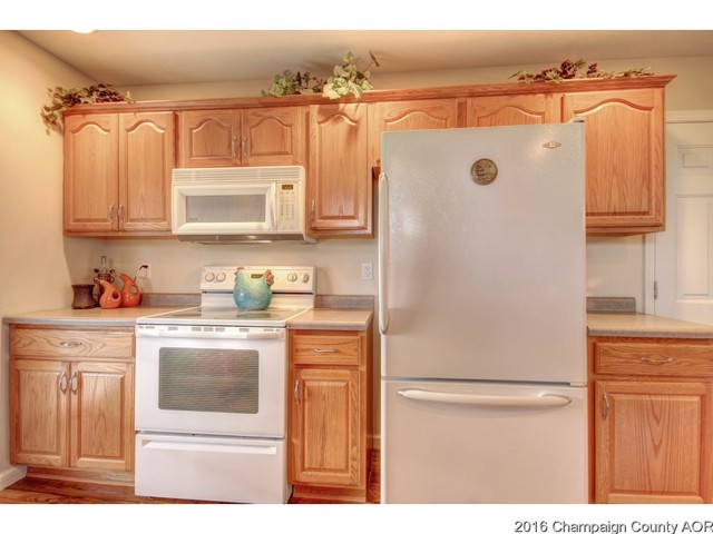 609 Clovis Ct, Sidney, IL 61877 photo 8