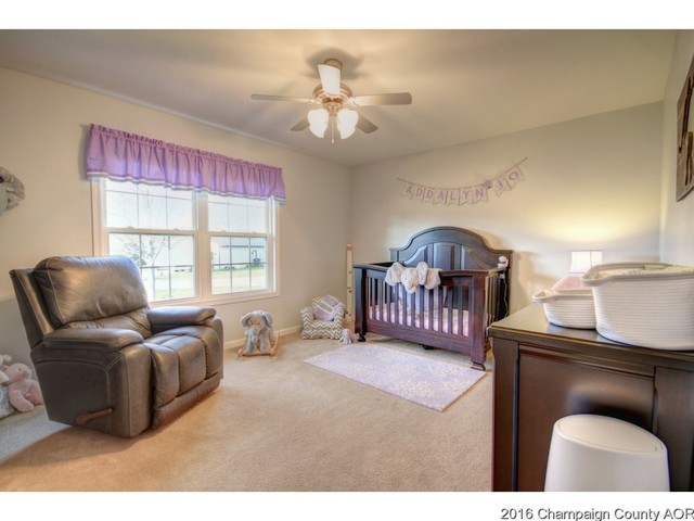 609 Clovis Ct, Sidney, IL 61877 photo 14