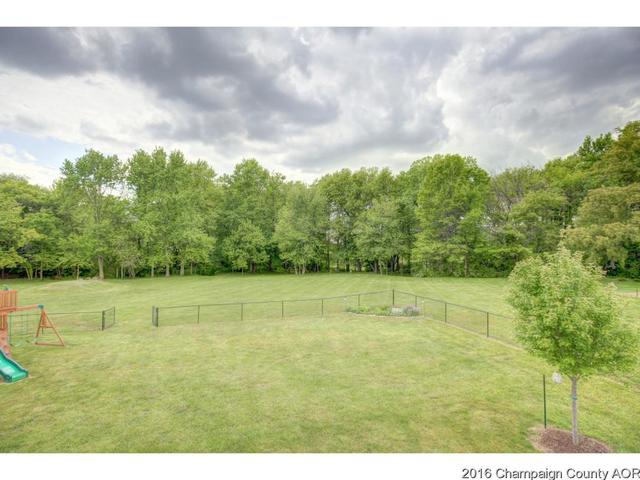 2523 County Road 600 E, Dewey, IL 61840 photo 22