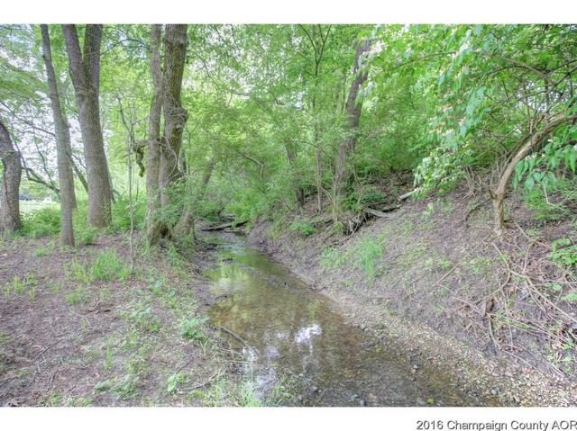 2523 County Road 600 E, Dewey, IL 61840 photo 23