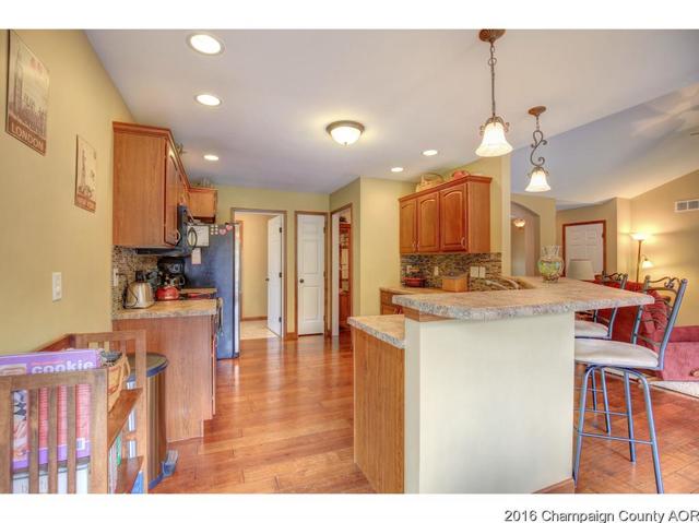 2523 County Road 600 E, Dewey, IL 61840 photo 8