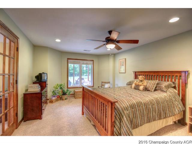 2523 County Road 600 E, Dewey, IL 61840 photo 18