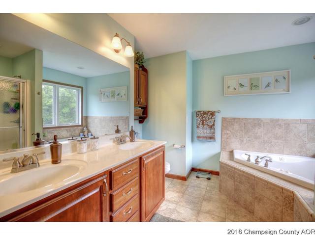 2523 County Road 600 E, Dewey, IL 61840 photo 14