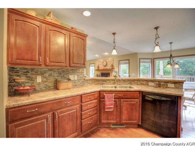 2523 County Road 600 E, Dewey, IL 61840 photo 9