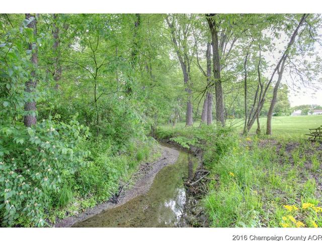 2523 County Road 600 E, Dewey, IL 61840 photo 24
