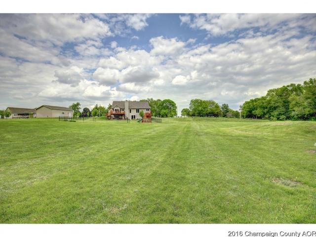 2523 County Road 600 E, Dewey, IL 61840 photo 19
