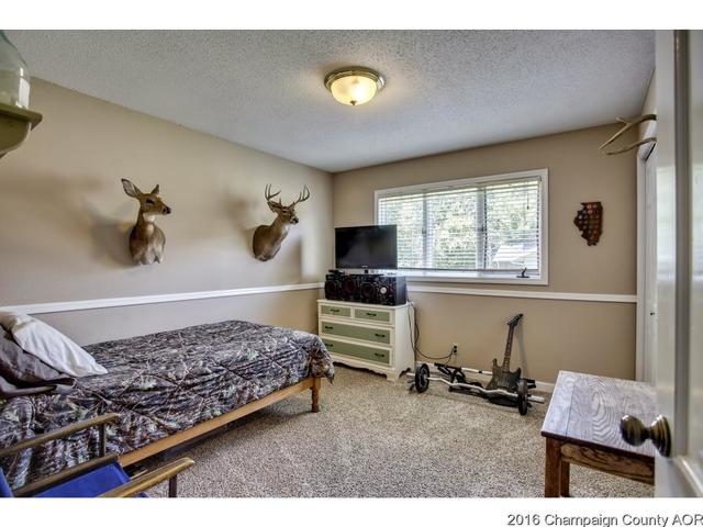48 Glenn Dr, White Heath, IL 61884 photo 15