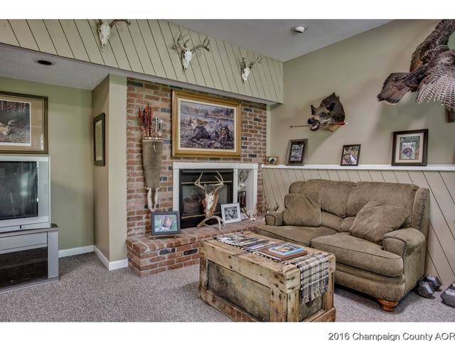 48 Glenn Dr, White Heath, IL 61884 photo 7