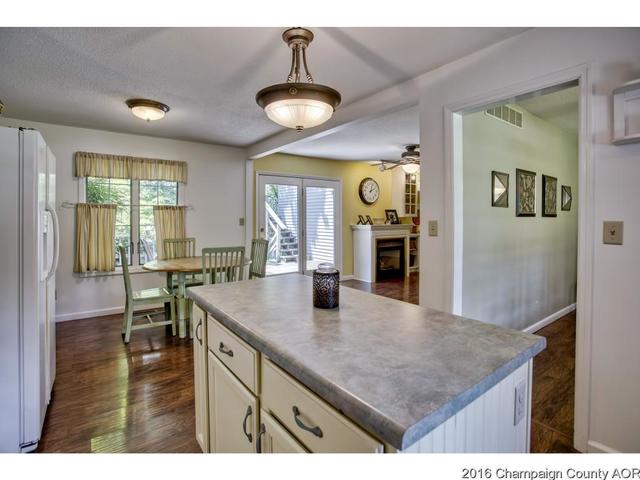 48 Glenn Dr, White Heath, IL 61884 photo 10