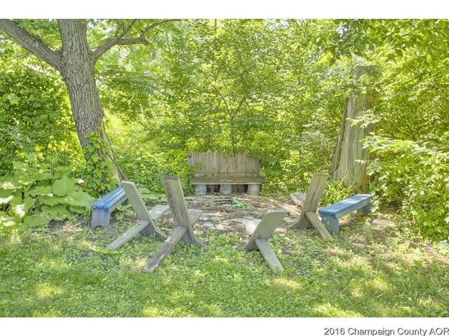 48 Glenn Dr, White Heath, IL 61884 photo 23