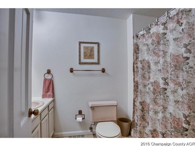 48 Glenn Dr, White Heath, IL 61884 photo 18