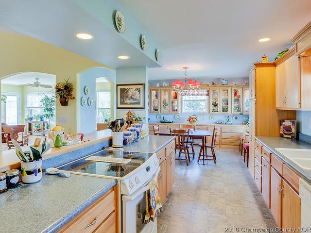 5 Doane Dr, Mansfield, IL 61854 photo 7