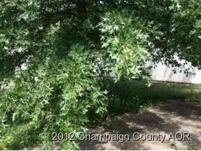 1406 Aztec Dr, Champaign, IL 61821 photo 17