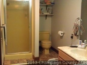 11 James Ct, Sidney, IL 61877 photo 15