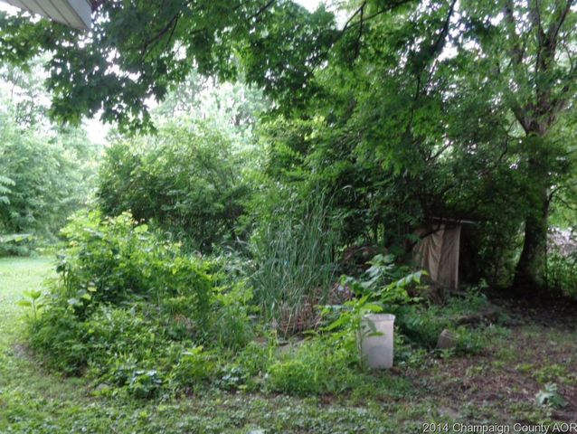 362 W Maple St, Canton, IL 61520 photo 10