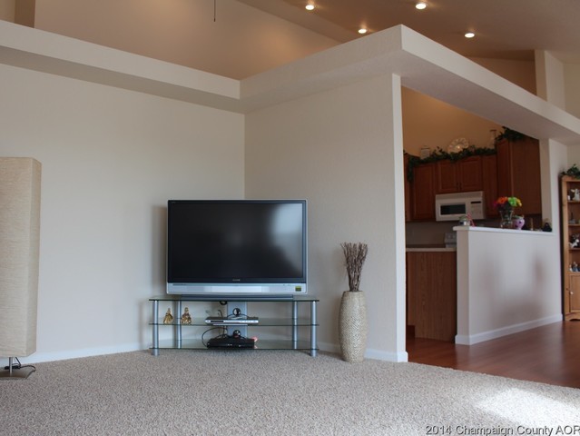 910 Allison Dr, Tolono, IL 61880 photo 6
