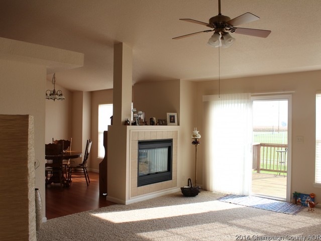 910 Allison Dr, Tolono, IL 61880 photo 5