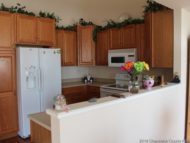 910 Allison Dr, Tolono, IL 61880 photo 7