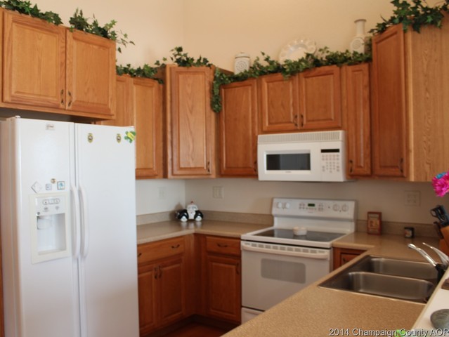910 Allison Dr, Tolono, IL 61880 photo 11