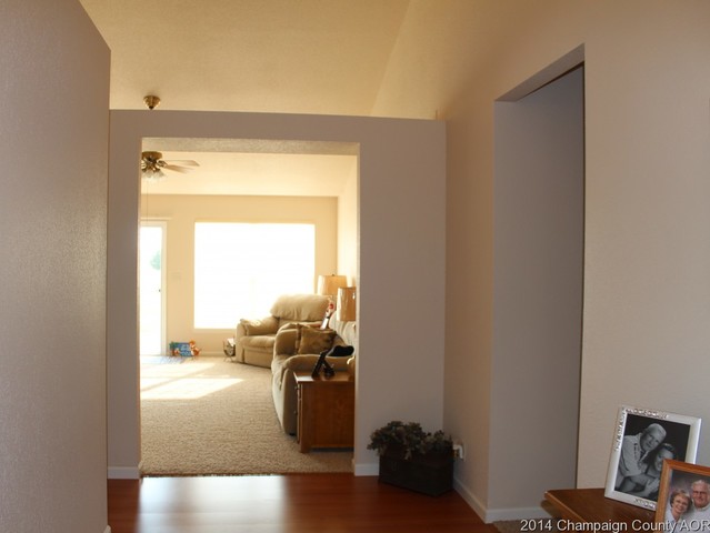 910 Allison Dr, Tolono, IL 61880 photo 3