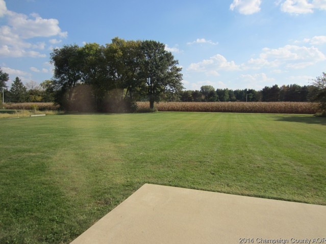 2483 Cr 550 E, Dewey, IL 61840 photo 23
